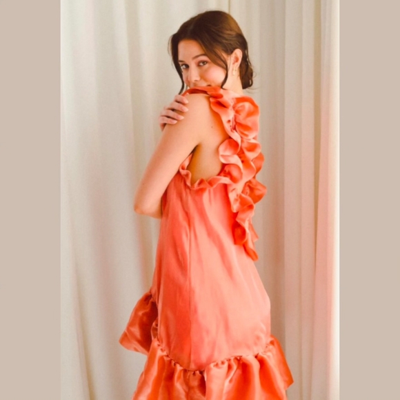 CLEARANCE! PRICE IS FINAL. The Rose Shimmer Romance Mini Dress NWOT - Picture 4 of 5